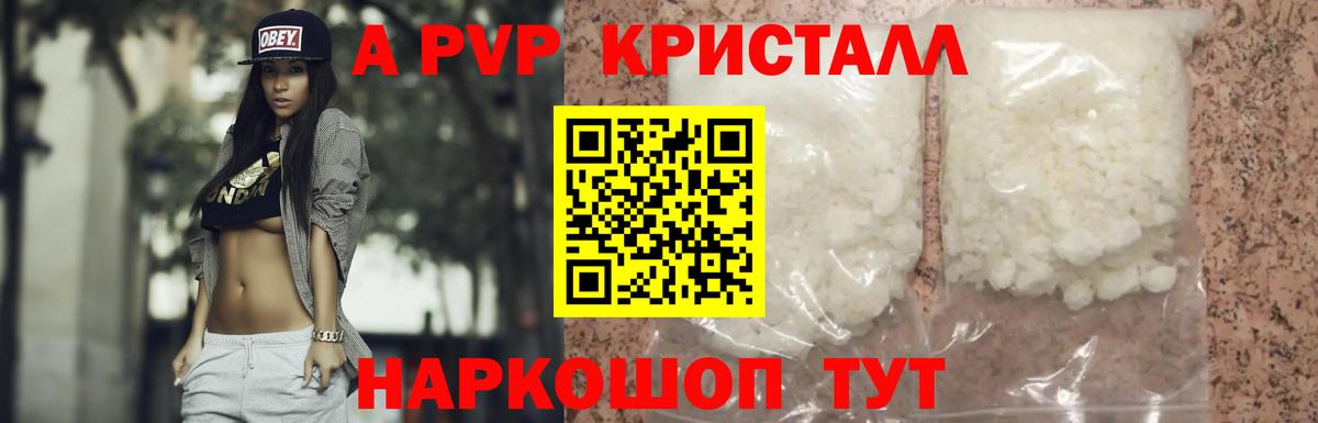 A PVP СК КРИС Новочеркасск