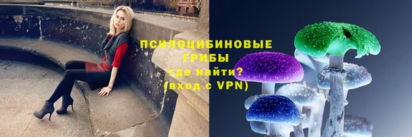 кокс Корсаков