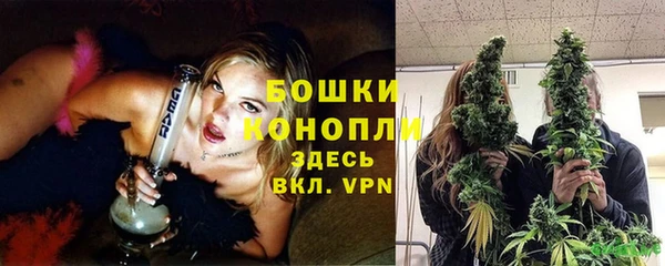 кокс Корсаков