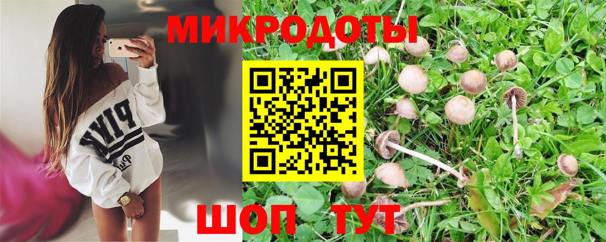 Новочеркасск  Галлюциногенные грибы Cubensis  цена   Вход с VPN 