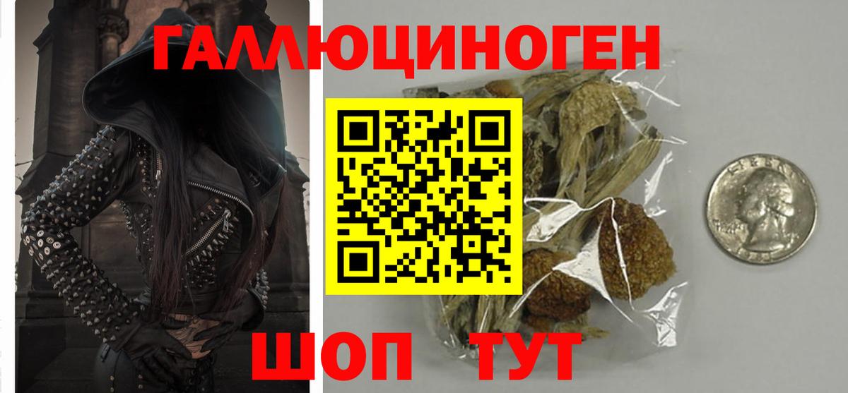 Галлюциногенные грибы Cubensis Новочеркасск